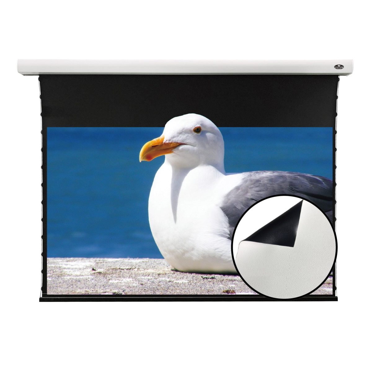 VIVIDSTORM Slimline Cinema White Motorised Drop Down Projector Screen - 画像 (1)