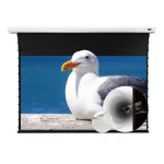 VIVIDSTORM Slimline P Acoustically Transparent Cinema White Motorised Drop Down Projector Screen