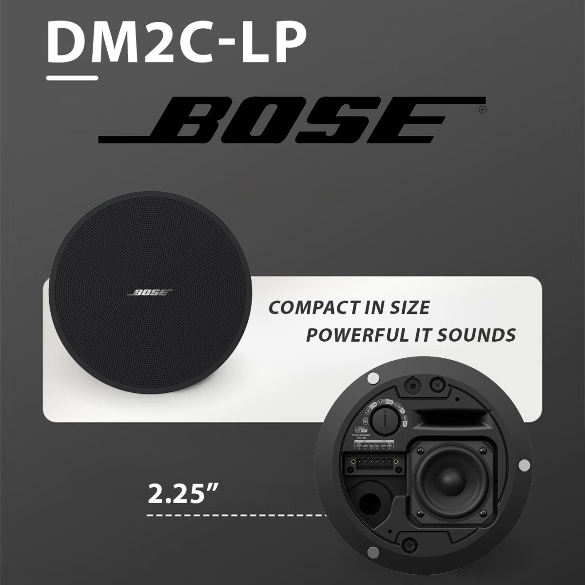 BOSE Professional DesignMax DM2C-LP In-Ceiling Loudspeaker + Luxe