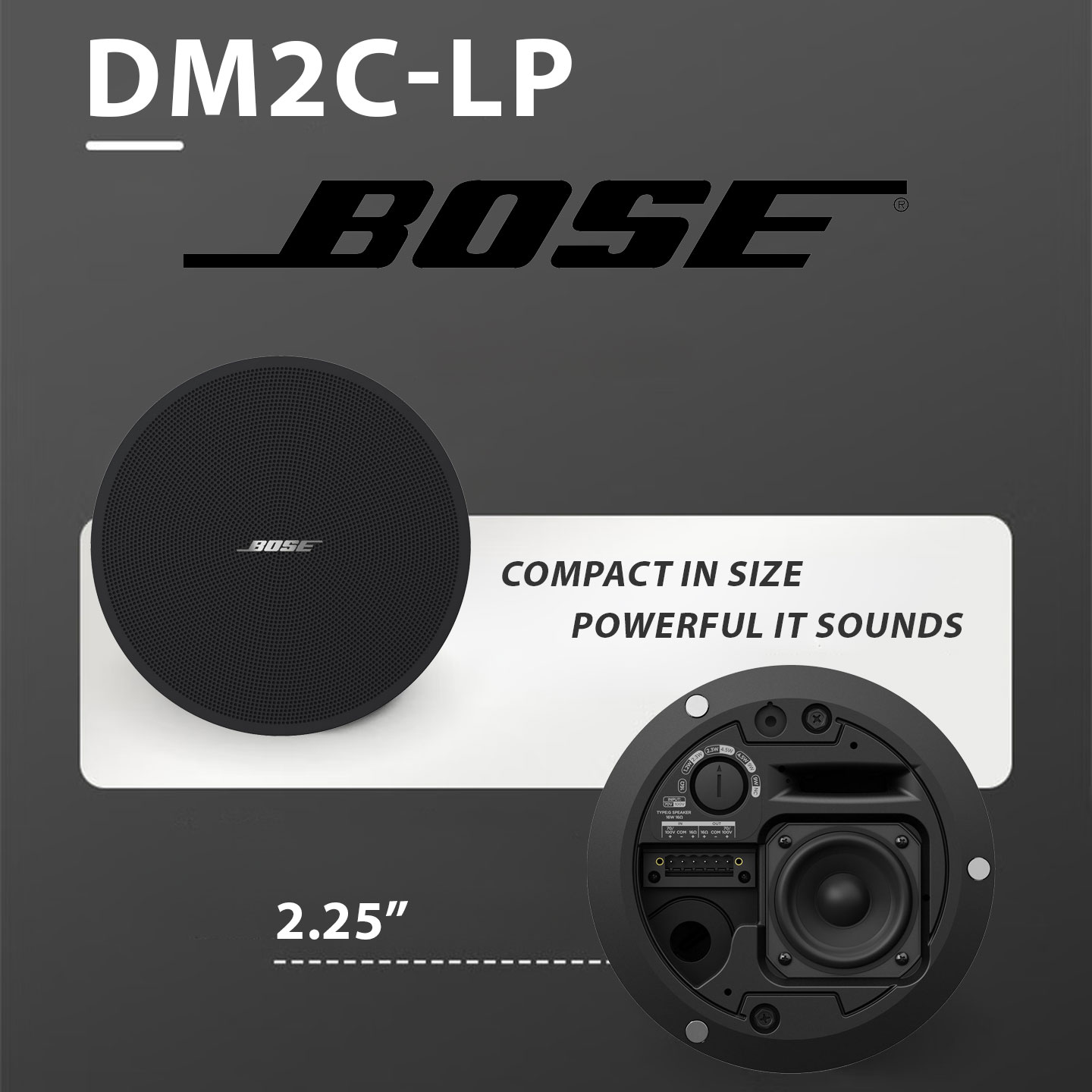 BOSE Professional DesignMax DM2C-LP In-Ceiling Loudspeaker + Luxe